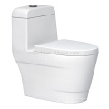 CB-9803 Balcão promocional montado no chão de uma peça Ceramic One Piece Toilet Bowl bidet toilet germany